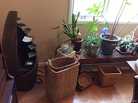 Wide shot showing Alpine electric fountain, live houseplants in pots on bench, and multiple baskets in front on floor.
