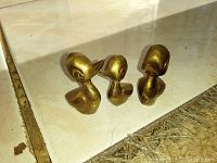 Photo of three brass duck figurines arranged on a surface with some natural light showing details and size differences.