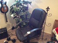 Photo showing the black office chair and the tall artificial plant in a corner of the room.