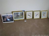 Overview of 4 framed art prints arranged on carpet floor showing different sizes and subjects: Monet print and 3 floral/botanical prints
