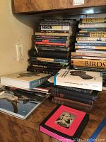 Stack of books mainly on bird photography, bird guides, photographic techniques, and celestial subjects.