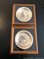 Two shadow boxes stacked vertically showing both bird plates