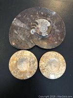 Top view of the fossil dish and two votive candle holders on a black background, showing natural fossil patterns