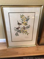 Full view of the framed bird print showing Carolina Wrens and Yellow Jessamine flowers in a gold-tone frame on wood floor.