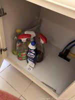 Partial containers of various cleaning products including Lysol and Windex inside a cabinet.