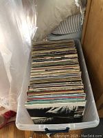 Plastic tub filled with upright vinyl LP records.