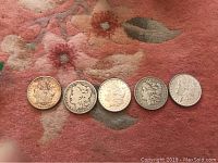 Overview of five Morgan dollar obverses laid side by side showing date ranges and overall condition.
