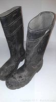 Pair of black rubber boots standing upright showing scuffed exterior.
