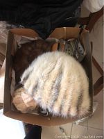 Top view of box containing two vintage fur hats, metal irons, and shoe horns.