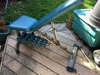 Side view of Danskin adjustable weight bench with blue padded seat and backrest and gold metal frame on an outdoor deck, with integrated rack holding dumbbells underneath.