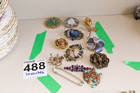 Photo showing full lot of twelve assorted brooches plus one large kilt pin, arranged on white background with green tape.