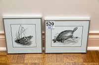 Two framed line drawings side by side, one of a frog the other a turtle, both signed by artist D Siemens.