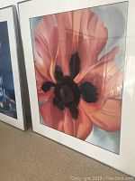 Framed matted picture close-up of large orange flower with black center details