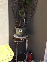Succulent plant in green ceramic pot on white metal plant stand against a corner wall showing the full height and condition.