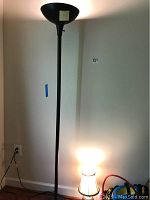 Full view of the tall black metal floor lamp switched on showing height and shade design.