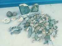 Full view of entire rock collection including agate slabs, metallic nodules, geodes, and smaller stones laid out on white surface.
