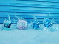 Four different colored glass angel fish figurines lined up in a row on a blue surface with a blue background.
