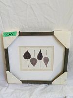 Framed art print with five stylized leaf images, protected with corner guards.
