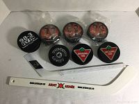 Full lot view showing all hockey pucks and two miniature hockey sticks on white background