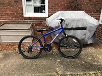 Side profile photo of a blue Roadmaster bicycle with a medium frame, black tires, mounted on a concrete ground in front of brick wall and covered grill.