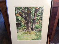 Frontal image of framed watercolour painting showing a mature tree with rock border and greenery.