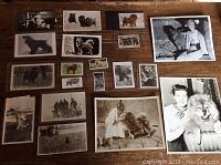 Collection of 15 vintage dog photos on table showing variety of dog breeds, black and white or sepia tones, some with people.