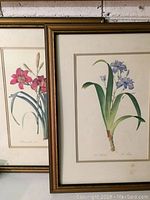 Partial overlap photo of the two framed floral prints leaning against a wall showing wood frames and floral illustrations.