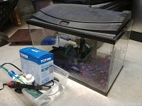 Full view of aquarium tank with black hood, artificial purple plants inside, and aquarium accessories including Top Fin filter box, water conditioner bottle, siphon tube, and cleaning items on floor in front of tank.
