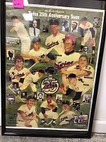 Framed Minnesota Twins 25th Anniversary team poster featuring players in uniform and key figures including Camilo Pascual and Don Carrisi with a large '25' logo in the center.
