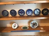 Shelf display of nine decorative plates including five Royal Copenhagen plates blue and white, one B&G Denmark blue and white plate, one colorful Raquel Del Valle plate on stand, one Juegos Pan Americanos Puerto Rico 1979 plate on stand, one framed Puerto Rican avian wildlife ceramic plate.