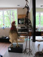 Two bird sculptures on a kitchen counter: a tall metal peacock and a smaller straw rooster, both mounted on black display bases.