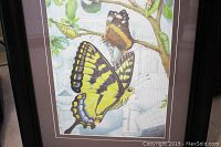 Close-up of the framed butterfly print showing yellow and black butterfly on botanical background with shadow box frame.