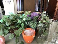 Photo of two potted plants, an orange ceramic pot with faux soil, and four clear glass vases of varying sizes