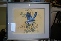 Front view of framed print depicting detailed blue jay on branch with foliage, in silver-gray frame with matting.
