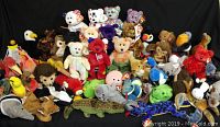 Full lot overview showing all 50 Beanie Babies including several bears and other animal forms