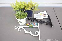 Two metal plant basket hangers and three potted succulent plants, one hens-and-chicks and two sedum 'Angelina'