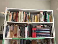 Full view of two shelves filled with assorted books focused on travel and language topics.
