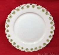 Single dinner plate with white background, green floral edge pattern, and gold-brown border accents shown on red fabric.
