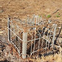 Rusty, aged metal dairy crate with open grid metal bars on all sides, shown on natural ground outdoors.