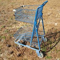 Side angled view showing the blue metal shopping cart with two basket levels and pine needles on the ground indicating outdoor exposure.