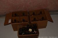 Two cardboard boxes each holding four one-gallon clear glass jugs with black caps, placed behind a wooden crate filled with 33 empty 14 oz clear glass bottles with black caps.