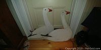 Photo showing two white wooden snow geese decoys with orange beaks and black wing details, standing against a door on a wooden floor