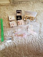 Full overview of the jewelry items including Sarah Coventry necklaces, pearl-like earrings and other jewelry pieces in plastic bags and boxes on a carpet.