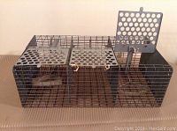 Front angled view of the double cage live trap showing both trap doors in the closed position with wire mesh construction and metal base grid