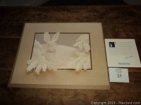 Overview of framed art print showing the rabbit scene and accompanying certificate.