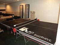 Full assembled table in room showing both halves with net attached