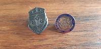 Two military pins on wooden surface: Lord Strathcona Horse Royal Canadians badge shield-shaped in metal, round sterling officer badge with purple enamel border.