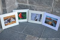 Four Terry Hsu matted prints displayed outdoors showing all prints together