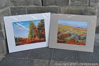 Two matted prints shown side by side, one with white mat and forest cabin scene, the other with beige mat and flower field scene