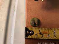 Close-up photo of a small animal figurine (around 1.5 inches) with green base, placed beside tape measure for scale.